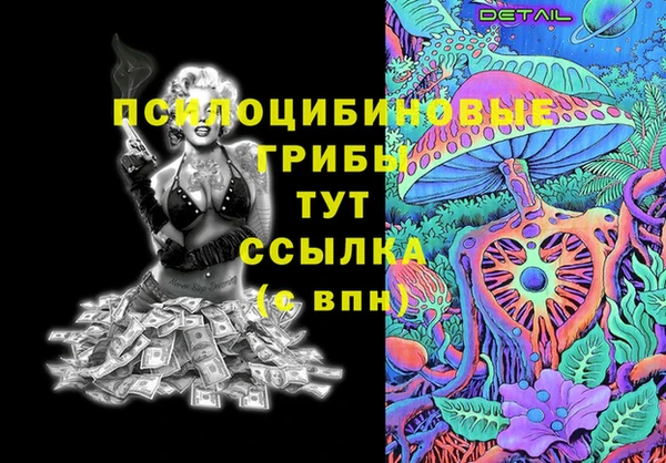 спиды Аркадак