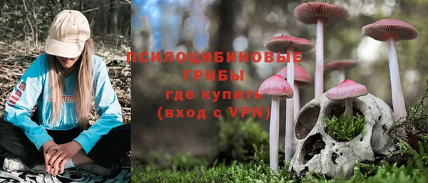 спиды Аркадак