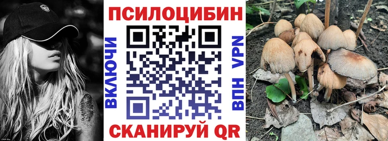 Псилоцибиновые грибы Psilocybine cubensis  Купить  Сусуман 